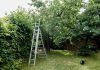 Escabeau pour l’horticulture : outil indispensable jardin escabeau pour l'horticulture