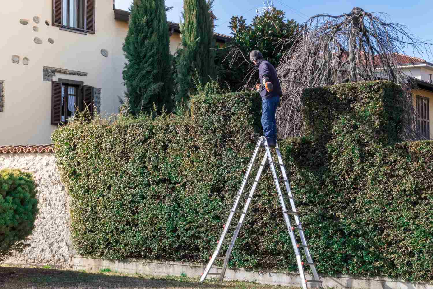 escabeau pour l'horticulture