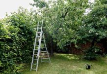 Escabeau pour l’horticulture : outil indispensable jardin escabeau pour l'horticulture