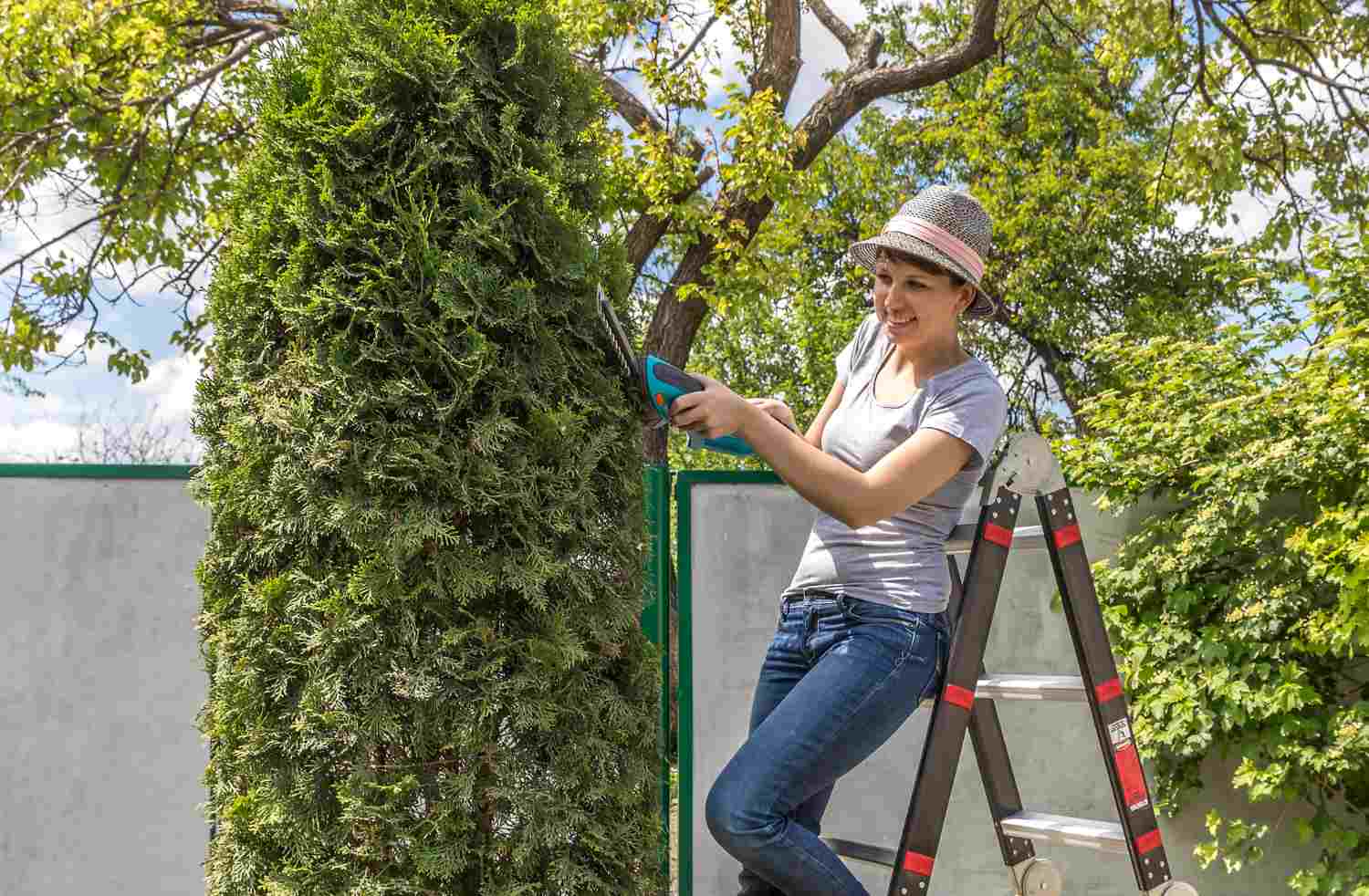 escabeau pour l'horticulture