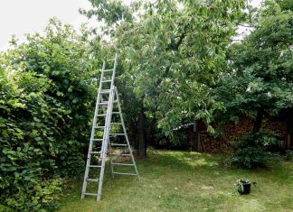 Escabeau pour l’horticulture : outil indispensable jardin escabeau pour l'horticulture